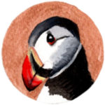 Puffin Illustration