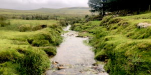 Stream running through Bodmin Moor, photographed by Emma of Little Bird Creative