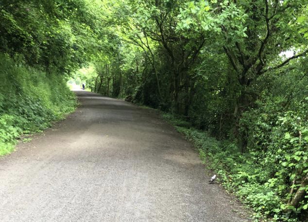 The Camel Trail to Bodmin