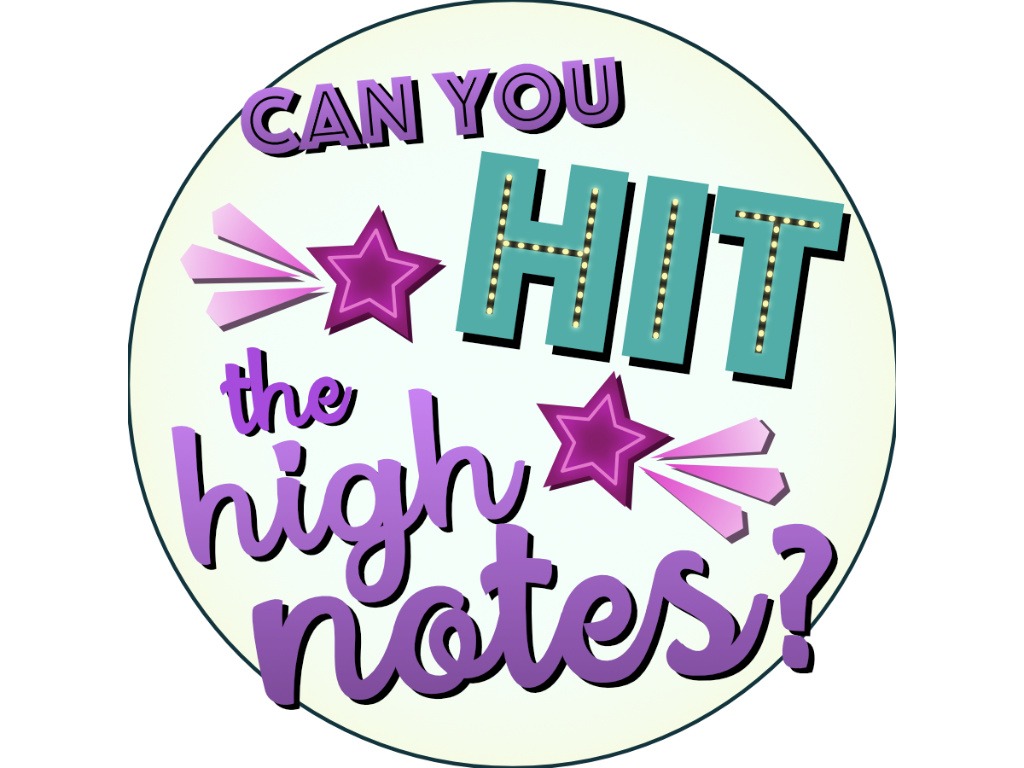 social media graphic by Little Bird Creative. A circle featuring the words "can you hit the high notes?" with two shooting stars.