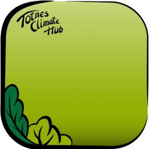 A green social media template designed as part of a Little Bird To Go Toolkit for Totnes Climate Hub