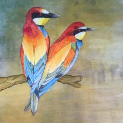 Bee Eaters
