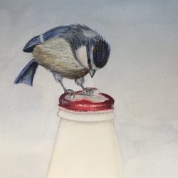 Blue Tit