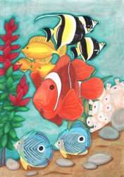 Tropical fish illustration